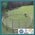 Security Temp Fencing for Cattle in China (XY-10101)